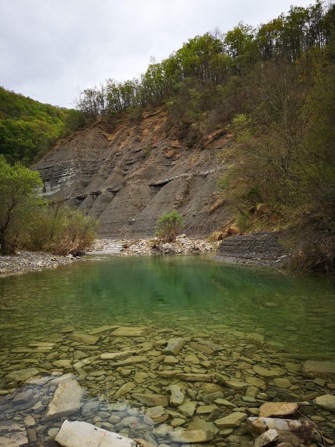 Eco Camp Supot Hotel Šmarje Kültér fotó